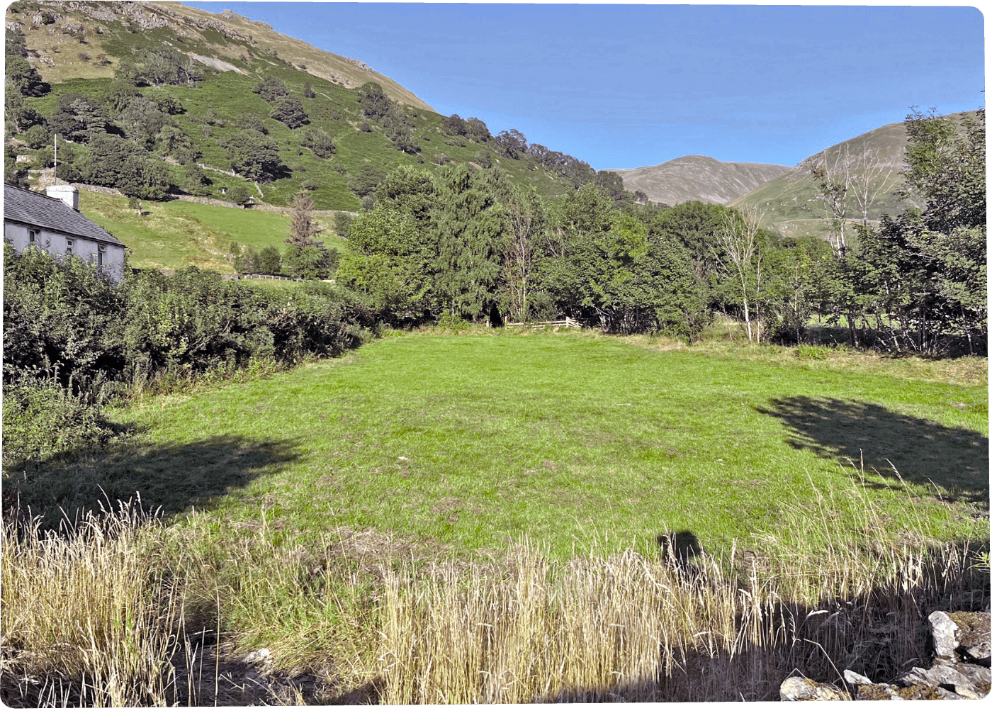 Private Field