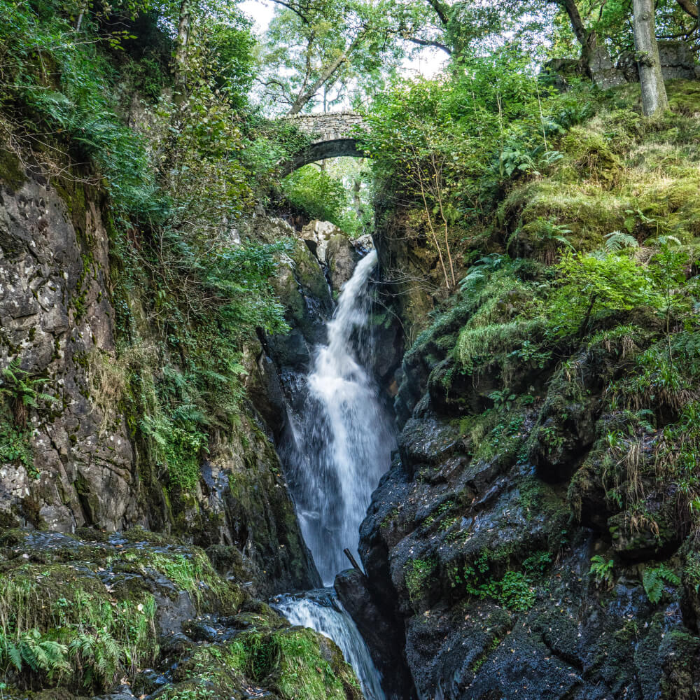 Aira Force Image