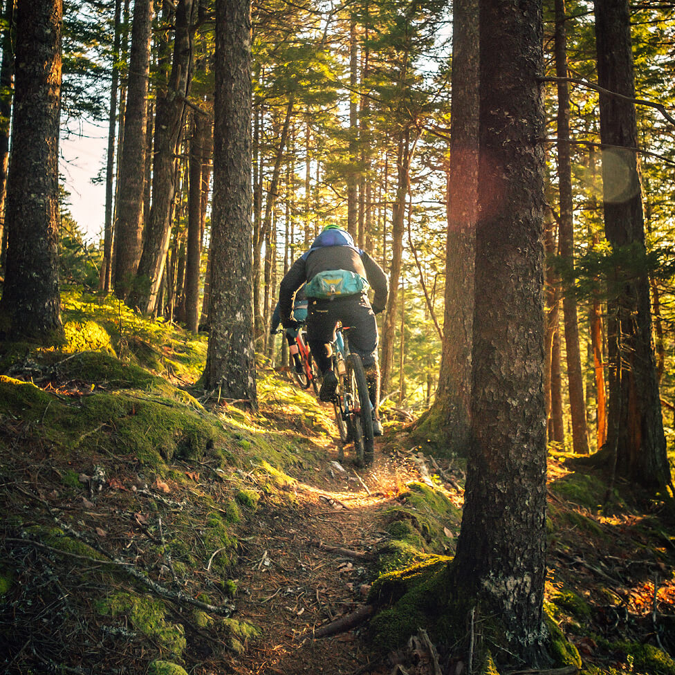 Biking Image